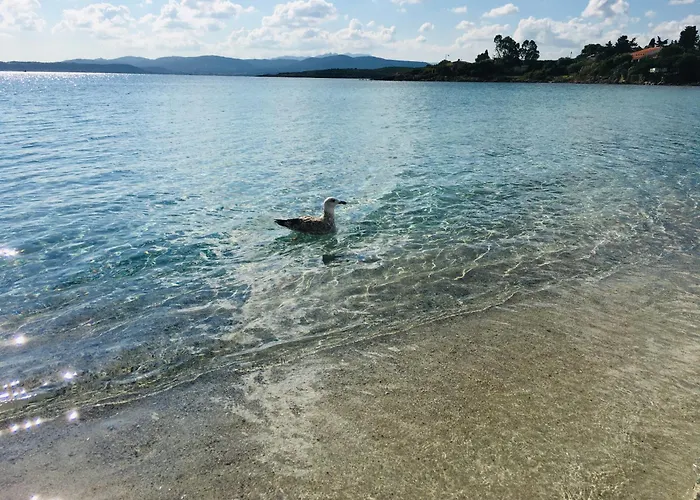 Beach House Ilaria- Smeraldo Apt